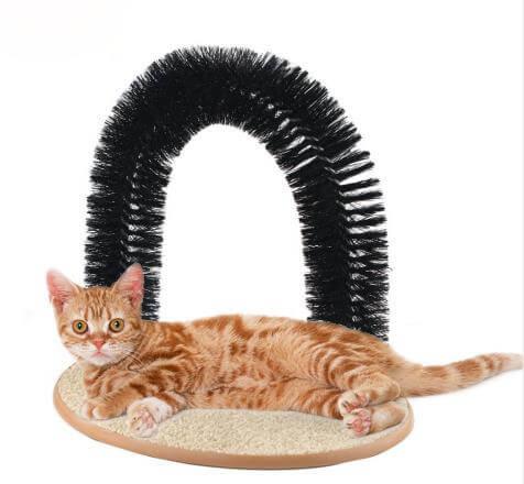 Arco de Escova para Gato - Wshop10