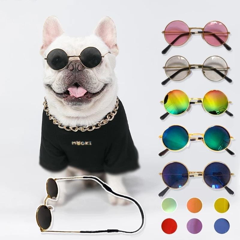 Óculos de Sol para cães pequenos - Wshop10