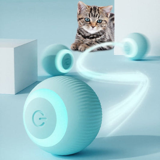 Bola Interativa Inteligente Sem Corda SmartPlay para Gatos e Cachorros -Dory Pet
