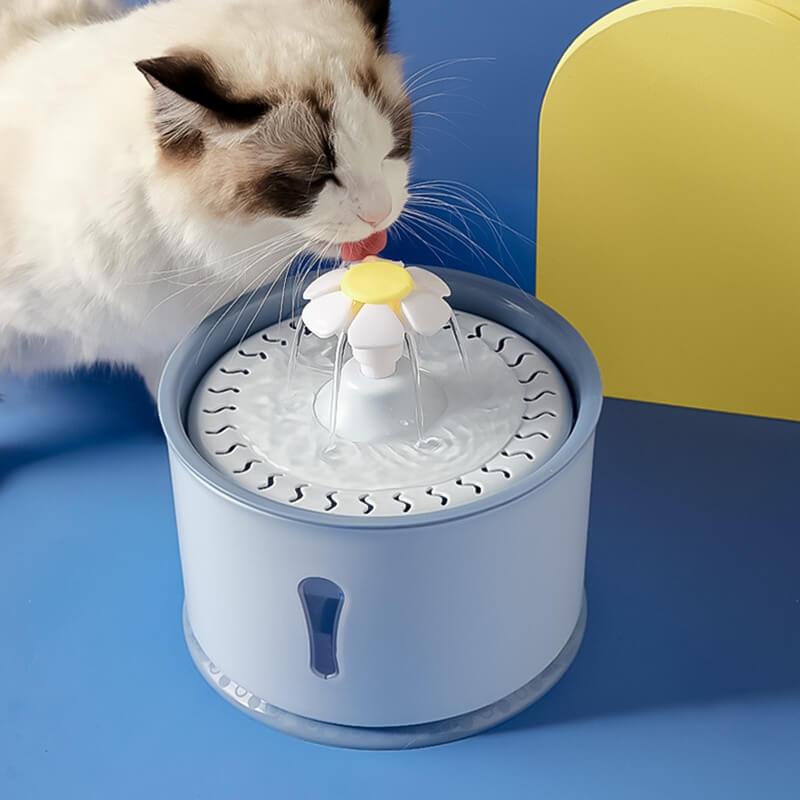 Bebedouro de Água para Gato - Com Filtro de Carvão Ativado e LED - Pets - Wshop10