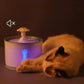 Bebedouro de Água para Gato - Com Filtro de Carvão Ativado e LED - Pets - Wshop10