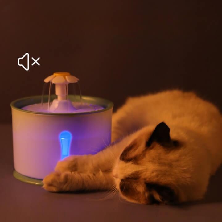 Bebedouro de Água para Gato - Com Filtro de Carvão Ativado e LED - Pets - Wshop10