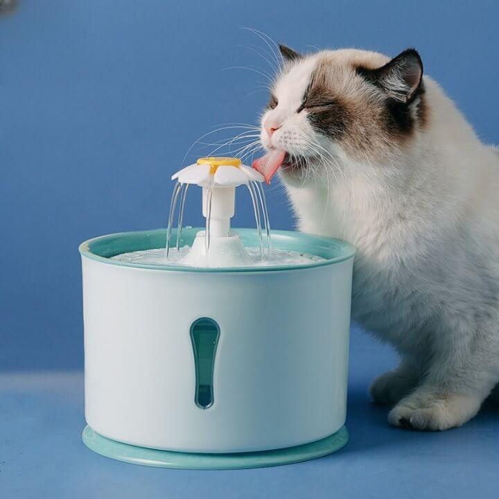 Bebedouro de Água para Gato - Com Filtro de Carvão Ativado e LED - Pets - Wshop10