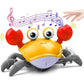 Caranguejo CrocK Animado com Sensor de Obstáculos - Wshop10