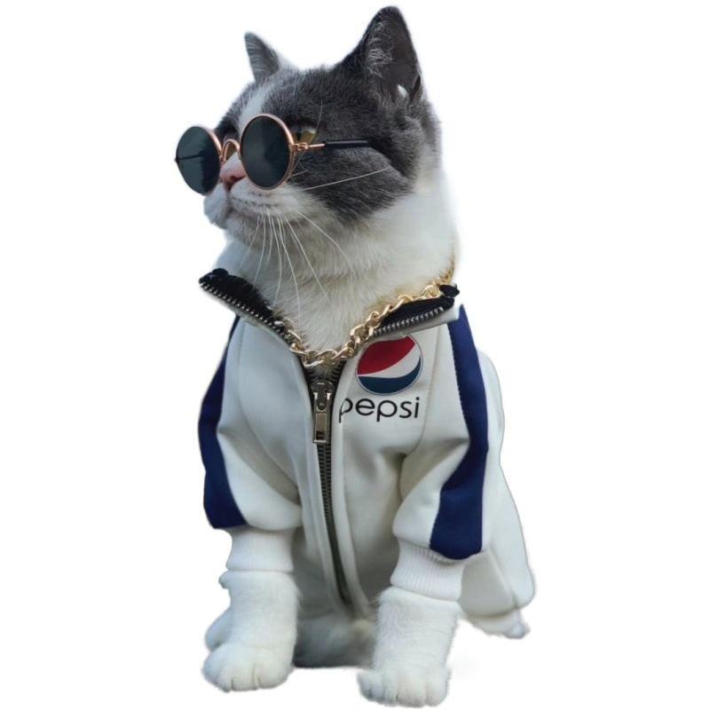 Óculos de Sol para cães pequenos - Wshop10