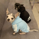 Roupa Para Cachorro Moletom Confortável para Pet - Adidog™